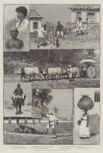 Bocetos en las provincias del norte de Brasil